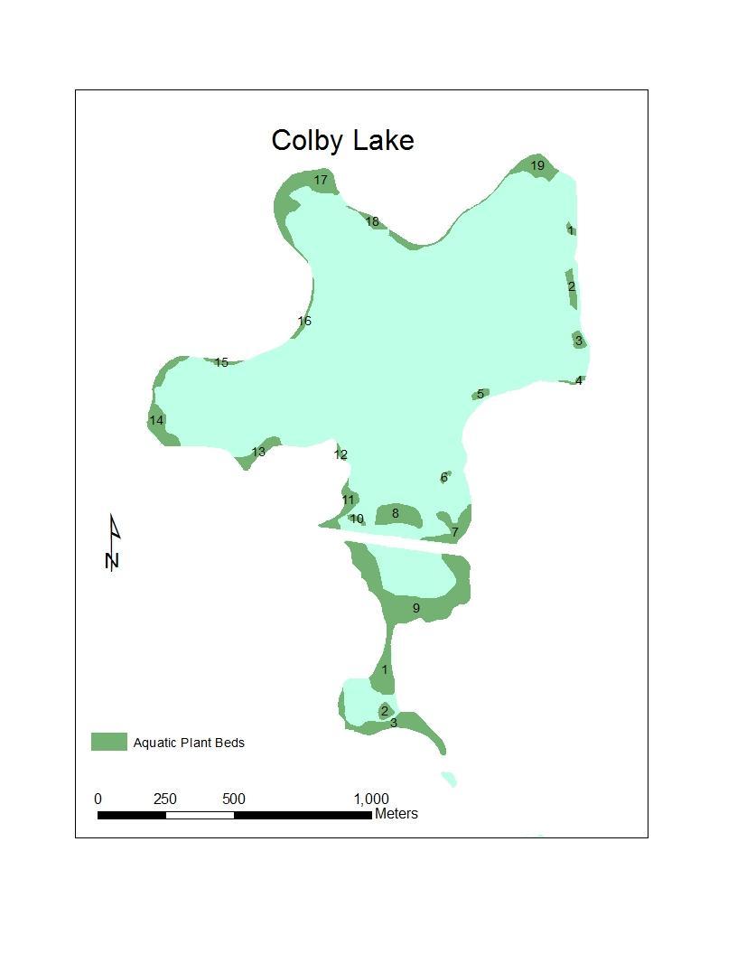 Map 28: Location of the aquatic plant beds detected in Colby Lake during the surface