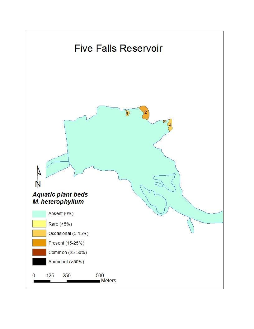 Map 39: Location of Myriophyllum heterophyllum beds detected in Five Falls Reservoir during the