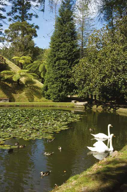 * Guide price based on 2-sharing includes: 4-nights Terra Nostra Garden Hotel, Furnas BB 3-nights Azoris Royal Garden Hotel, Ponta Delgada BB All transfers included for hotels and walks Six half-day,