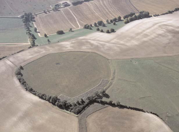 THE WESSEX HILLFORTS PROJECT Immediately north of the hillfort are the extensive remains of a field system, remmnants of which still survive as slight earthworks in unploughed grassland.