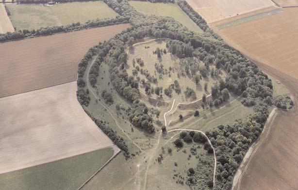 THE MONUMENTS AND THEIR SETTING a long winding corridor approach commanded by the inner hornwork. Previous finds: See Cunliffe and Poole 1991: Danebury. An Iron Age Hillfort in Hampshire. Vol.