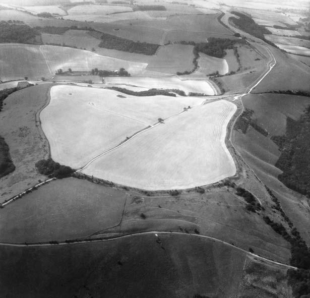 THE WESSEX HILLFORTS PROJECT Fig 2.6 Aerial photograph showing traces of field systems to the west and south of Walbury (NMRC; NMR 4553/53, SU 3761/35, 1989).