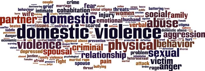 OBLIKE NASILJA V DRUŽINI IN NASILJA ZARADI SPOLA Oblike nasilja v družini in nasilja zaradi spola so različne.