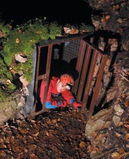 Vytvorila sa v ponorovej zóne Mokrej Poľany a dnes predstavuje senilný relikt kedysi omnoho rozsiahlejšej jaskyne.