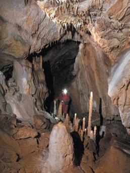 Najčastejšími typmi kvapľov sú stalaktity od tenkých snehobielych brčiek cez zhrubnuté mrkvovité a cibuľkovité formy až po záclony, drapérie a excentrické tvary.