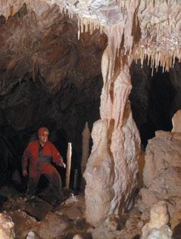 V južnej časti jaskyne dominujú mäkké sintre, čo vzhľadom na ich mikrobiologickú kompozíciu indikuje blízkosť povrchu.