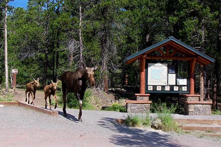 Hike Mud Lake & Visit the Wild Bear Nature Center Go Fishing Go on an Evening Bat Hunt is one of the highest elevation parks in Boulder County and is located at the base of the Indian Peaks