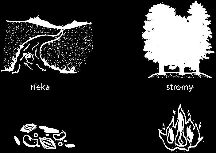 S041007 S02-01 Živé a neživé prírodniny Prezri si tieto štyri obrázky. rieka stromy semená oheň Na ktorých obrázkoch sú neživé prírodniny?