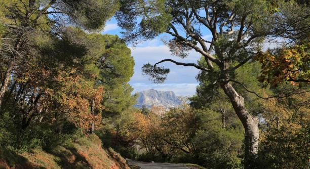 Côte d Azur & Provence Fun in the South of France Markets, walks, historic sites, Provençal scenery! A tour to inspire creativity!