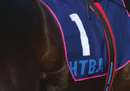 30am Saturday October 19 White Hart Hotel Festival Grounds Murrurundi Presents HTBA PROTECT OUR INDUSTRY RACE DAY Telephone: (02) 6545 1607 www.sconeraceclub.com.