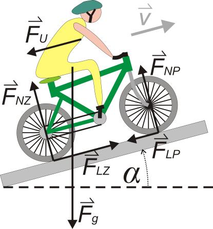 Eksperiment Slika 23: Zunanje sile na sistem kolo in kolesar pri vožnji po vodoravni podlagi. Navzdol deluje sila teže, pravokotno na podlago deluje normalna sila podlage zadnje ter prednje osi.
