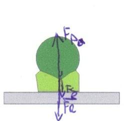 Sile na prožni del skokca med stiskanjem na prožni del skokca, ki jih je narisal par dijakov AB (b) ter par dijakov CD (d).