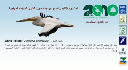 NCS in cooperation with the Conservation of Migratory Soaring Birds Project have produced notebooks carrying information about the soaring birds for primary school use.