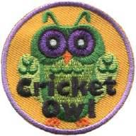 ES13125 Crocheting Owl