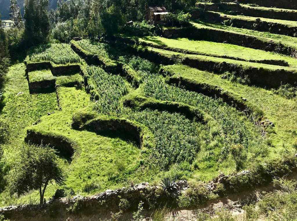 In a softer activity, explore Ollantaytambo s maze-like streets, and all the magic of this ancient living