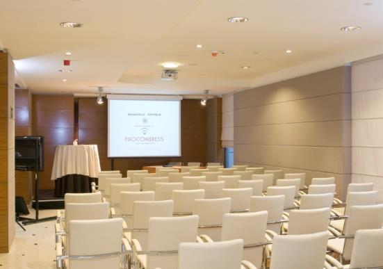 Venice and Prague rooms (66 sqm each) On the left and right sides of Rome room two identical meeting rooms are situated.