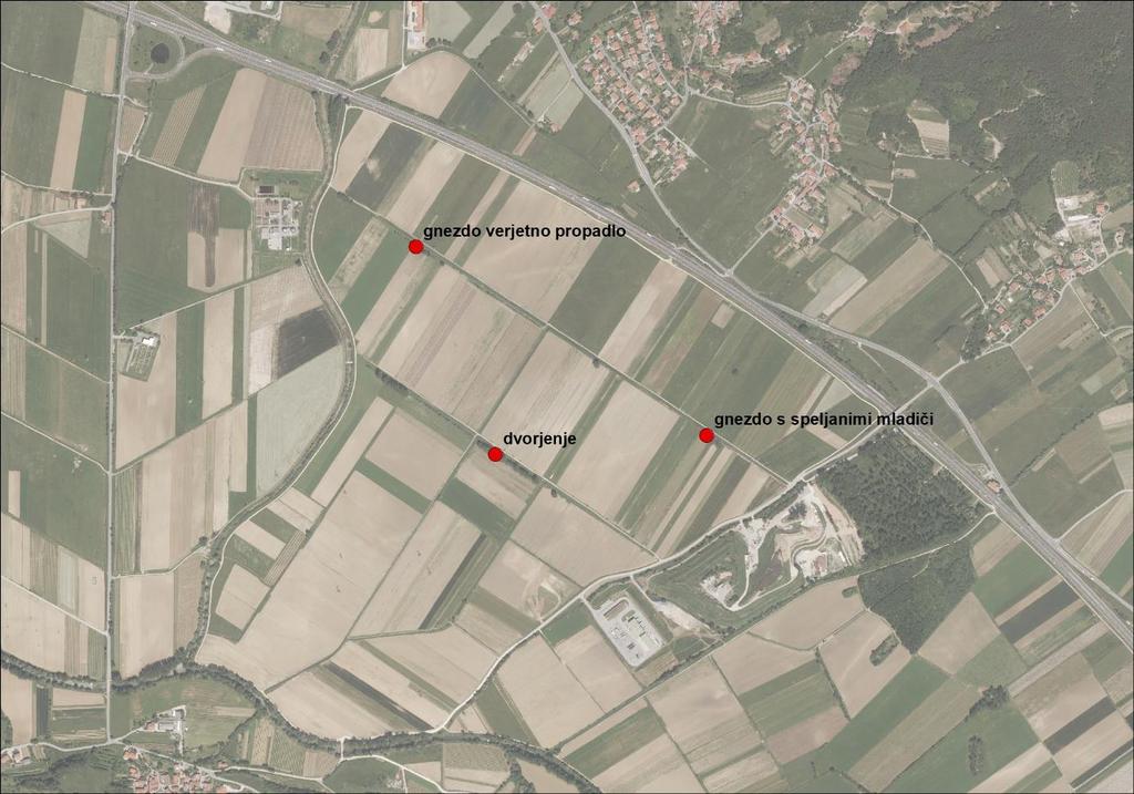Slika 3: Lokacije popisanih parov črnočelega srakoperja na SPA Vipavski rob v letu 2018 Trend vrste Program TRIM je trend črnočelega srakoperja na SPA Krakovski gozd - Šentjernejsko polje za obdobje