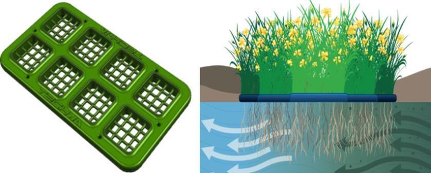 AQUAVET 9 23/09/2014 lahko zgradimo z uporabo Tech-IA plavajočih sistemov, ki služijo kot podpora za rastline.