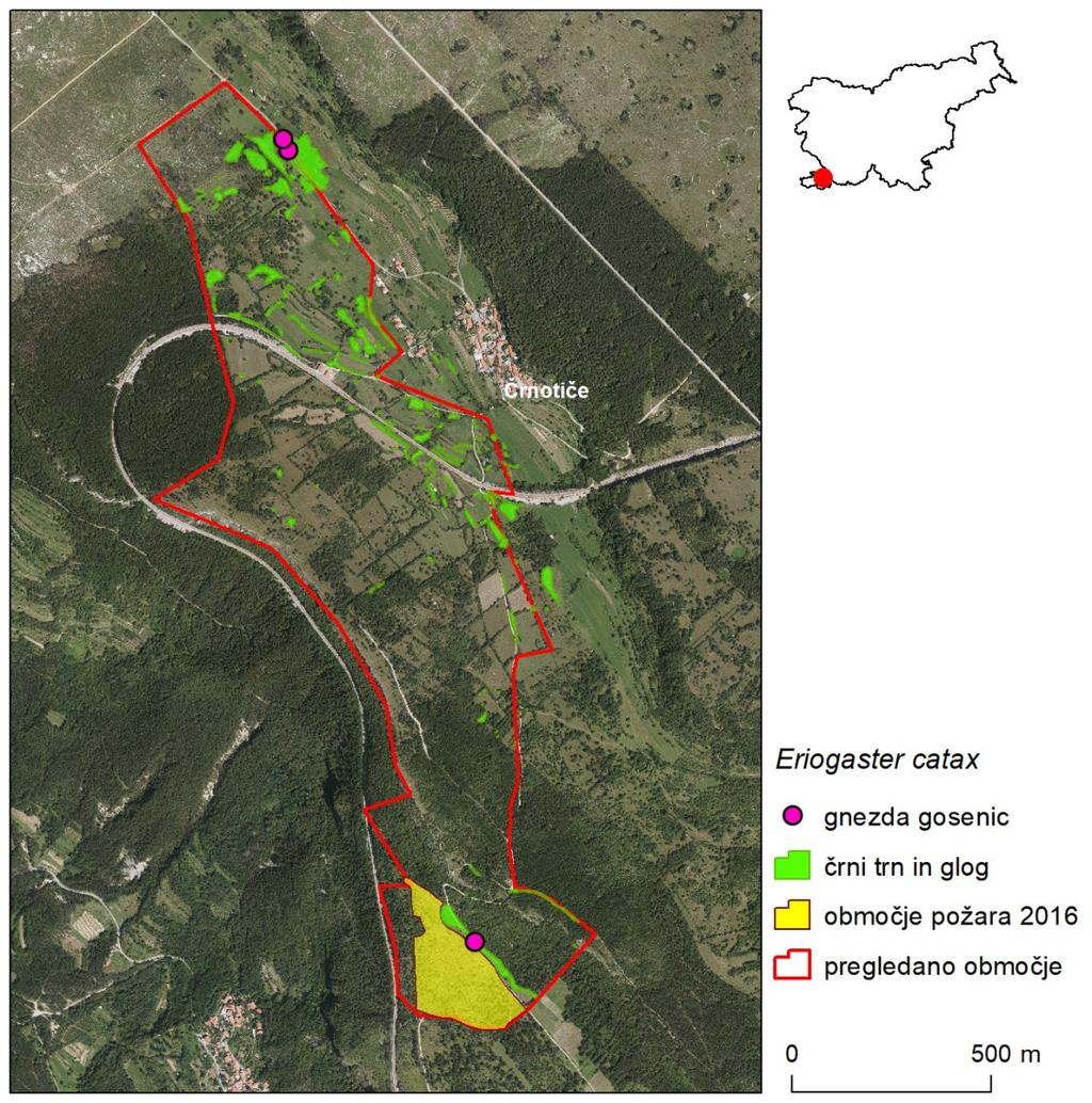 17 Slika 2: Stanje habitata in najdišča hromega volnoritca (Eriogaster catax) na območju sklenjene razširjenosti pri Črnotičah v Stanje habitata na območju je podobno kot v letu 2017.