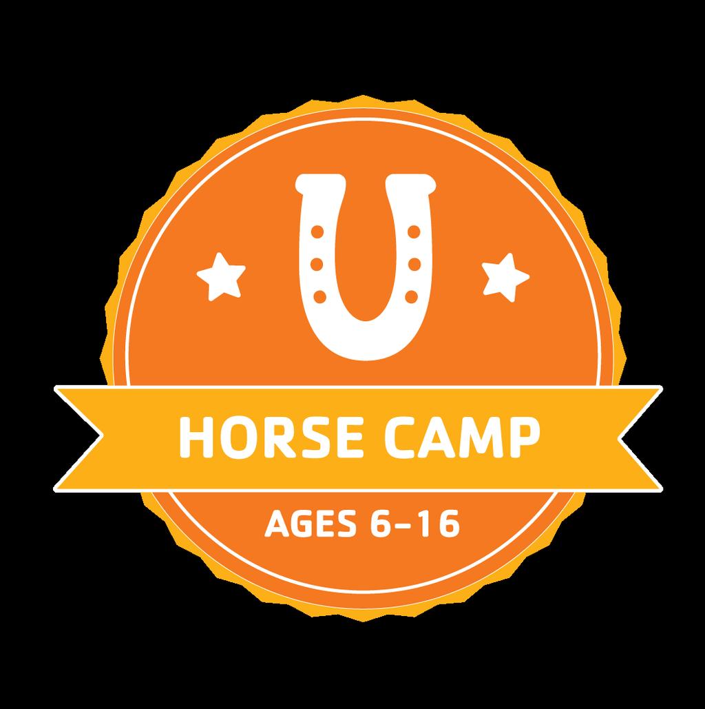 No previous riding experience is required, so if you ve always wanted to learn how to ride a horse, Mini Horse Camp is for you!