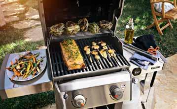 SAVE 25% ON REMAINING IN-STOCK Everdure Grills SHOP