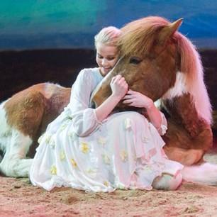 The Horse Theatre & Northern Lights This evening tour takes you to see the stunning horse theatre performance at the new and innovative Icelandic Horse Park at Fákasel and afterwards to look out for