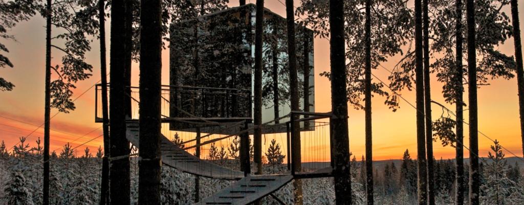 looking for a special Northern Lights break with a difference then combining the Tree Hotel on the Eastern Side of Swedish Lapland with Abisko on the Western Side brings you unique accommodation and