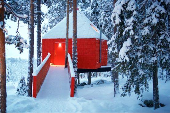 Tonight you have the option of staying in the same tree cabin or moving and