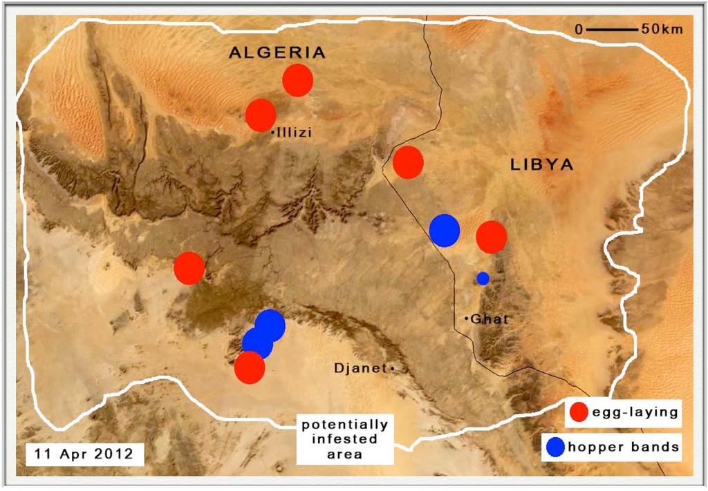 In Libya, survey teams saw first and second instar hopper bands during the first week of April, up to 20 bands in one location.