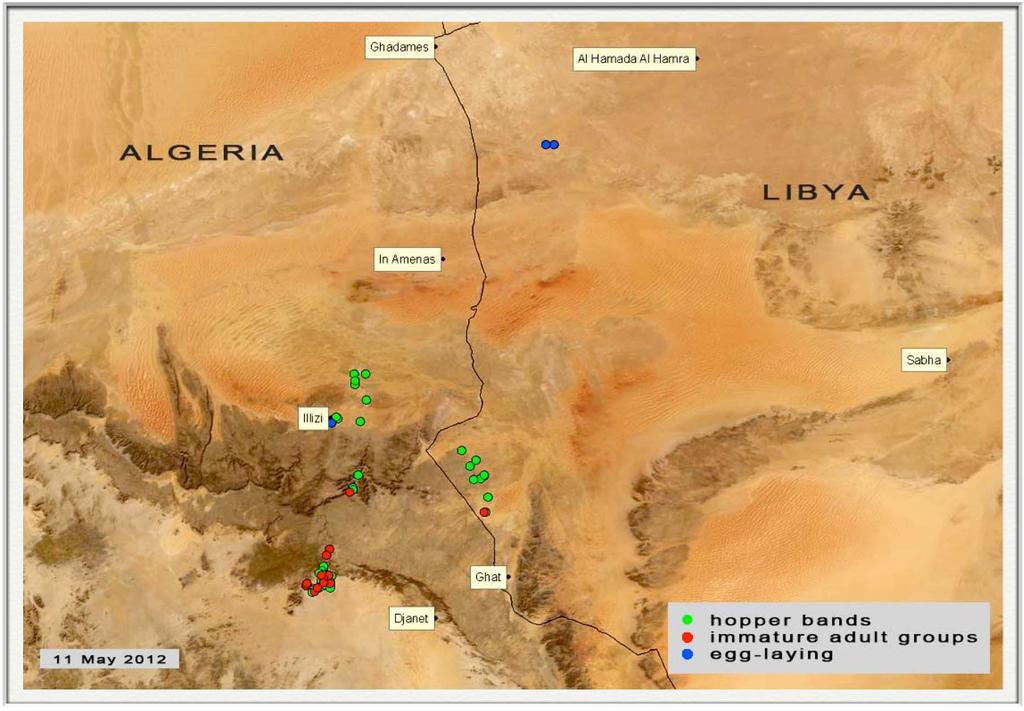 continued in the northern part of the outbreak area near Illizi, Algeria and in northwest Libya near Ghadames and the Al Hamada Al