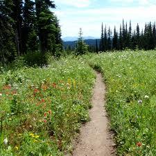 Mission Statement The Pemberton Valley Recreational Trails Master Plan Update (PVRTMP) will establish a clear vision for the recreational use and development in the plan area, incorporating new land