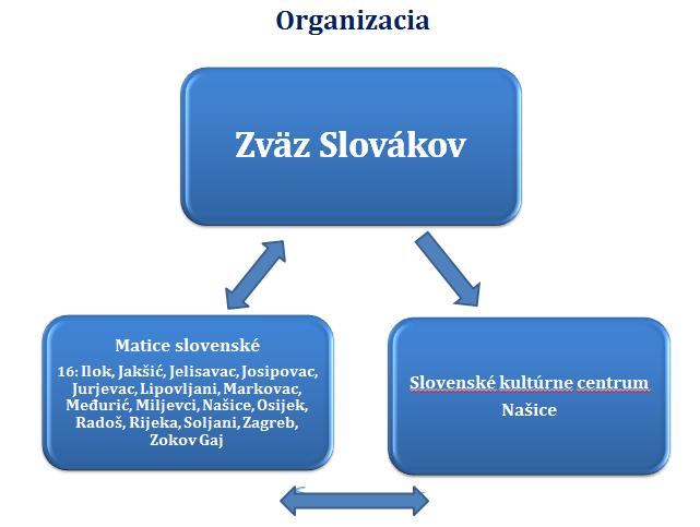 3. Organizácia Po rozpade bývalej Juhoslávie a Československa Slováci vystúpili zo Zväzu Čechov a Slovákov a v roku 1992 založili vlastnú spoločenskú organizáciu Maticu slovenskú v Chorvátsku, neskôr