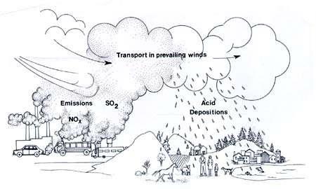 Otrovni plinovi U blizini industrijskih postrojenja može doći do trovanja biljaka plinovima.