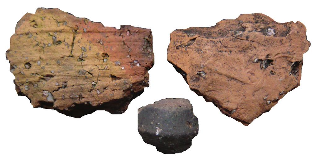 0 3 cm 5 pav. Keramika iš gyvenvietės Asvejos ežero saloje (Bieliškės). M. Mačiulio nuotr. Fig. 5. Ceramics from settlement site on the island in lake Asveja (Bieliškės).