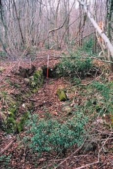 Istarska županija, HAG 2/2005 svih vrsti pripremnih radova (krčenje vegetacije, instalacije prateće infrastrukture), pri čemu se pretpostavlja pojava novih arheoloških podataka.