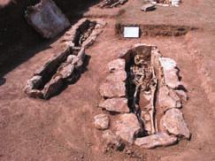 Sva vrijedna osteološka građa proslijeđena je u Zavod za arheologiju HAZU-a u Zagrebu, gdje je provedena antropološka analiza.