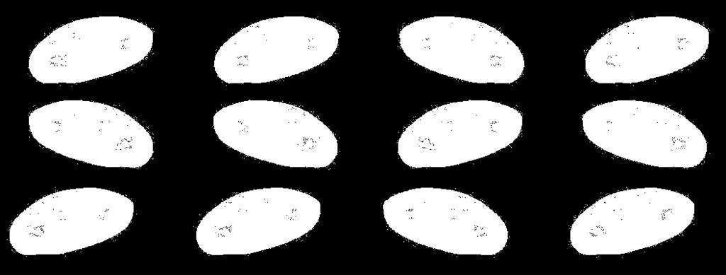 M041056 M04-02 Znázornenie zlomoku Na obrázku je 12 koláčikov. Zakrúžkuj 1 3 koláčikov.