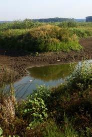 Attempts to farm the area proved unsuccessful, so fish ponds were established, but by the 1990s these also had been abandoned. In 2007, new sluices were installed to reconnect the marsh to the Danube.