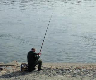 Available fishing waters within the Serbia Vojvodina fishing area under the management of PWMC Vode Vojvodine: FISHERY Left Danube bank from the bridge in Bogojevo to the bridge in Bačka Palanka, DTD