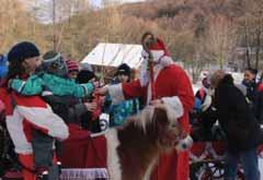 Svetový deň zvierat oslavy sviatku zvierat sme tradične spojili s krstom prírastku v rodine koní Przewalského.