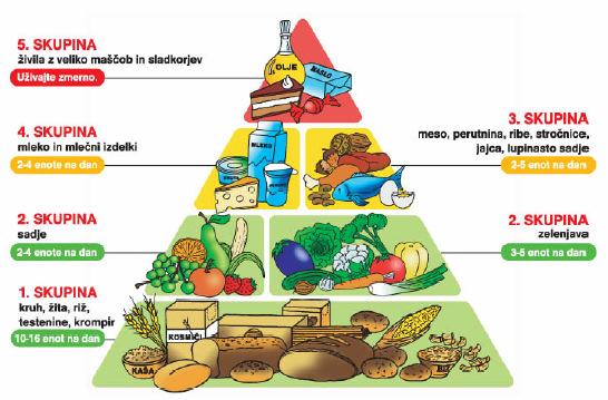 Skupine živil meso in zamenjave ter mleko in zamenjave so pretežno živalskega izvora, nekaj pa jih je tudi rastlinskega izvora (soja, druge stročnice, sojino mleko, sojin sir).