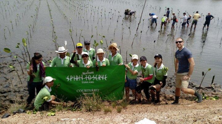 Mangrove Management Land exploitation surveys Mangrove restoration