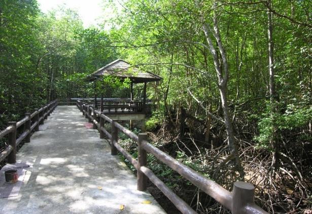 Urban Mangrove Forest in Thailand Objective 1) To be Recreation