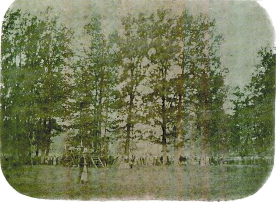 15 Politične zahteve taborov Resolucije, ki so jih sprejeli na prvem taboru v Ljutomeru, so bile precej podobne resolucijam drugih taborov: Prvi slovenski tabor v Ljutomeru dne 9. avgusta 1868.