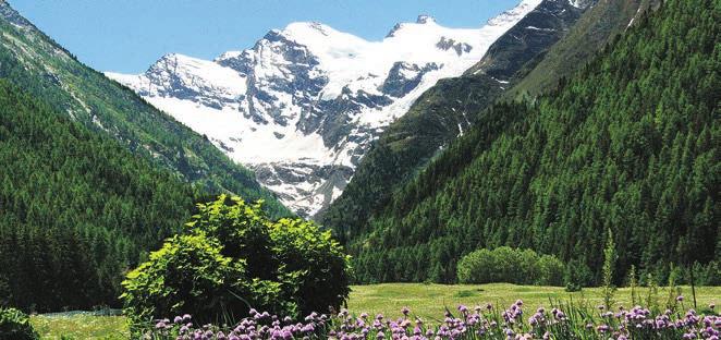 Pilotno območje Avtonomna regija Dolina Aoste 18 Priseljevanje Socialna vključenost Dolina Aoste je sestavljena iz 74 občin, ki so združene v osem gorskih skupnosti, z izjemo kraja Aosta, ki je