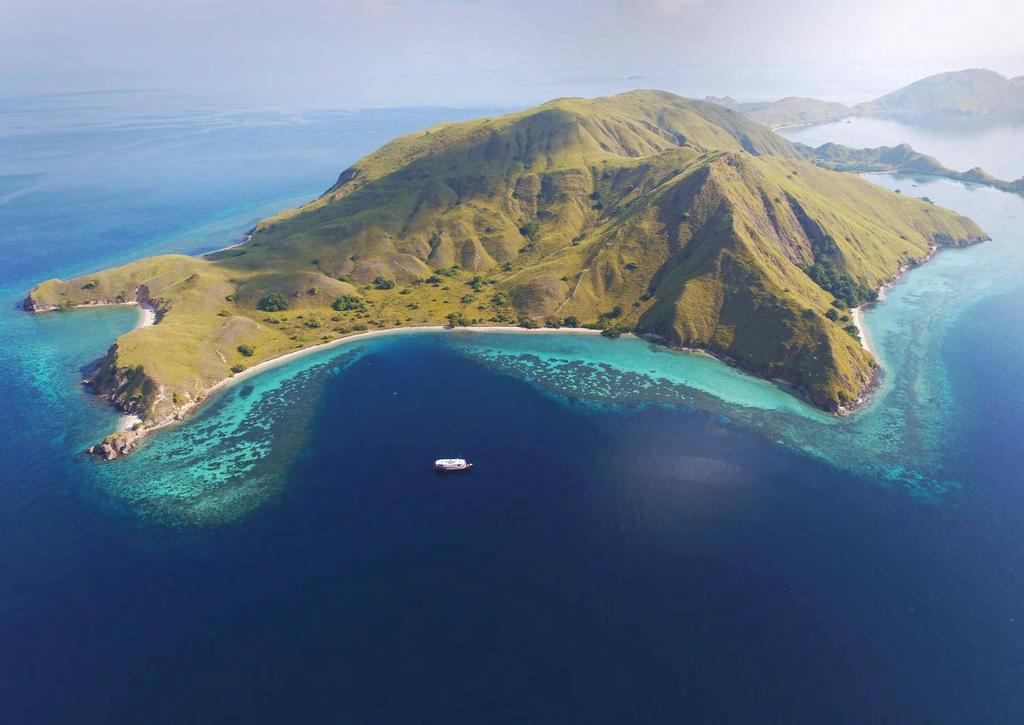 DAY 3 BATU MONCO IN KOMODO NATIONAL PARK Today we cruise to Batu Monco at the furthest north-western corner of Komodo National Park, an area renowned for its unspoiled, spectacular underwater
