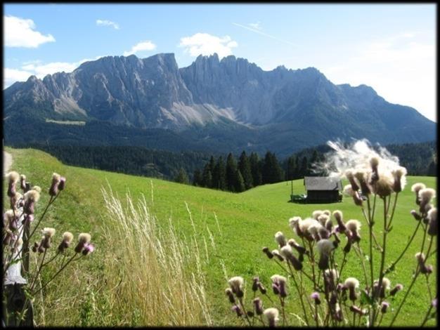 development of the Alpine region;