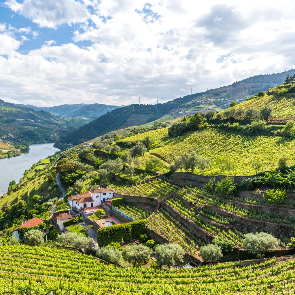 Come for the ports and wines, winding scenic roads, postcard-pretty villages and excellent regional restaurants!
