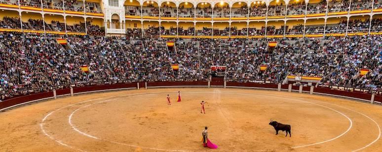 Its ring, with a diameter of 60 meters is also one of the largest in the world, after the bullring in Ronda.