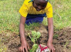 By introducing our Eco-Club programme at Bisate Primary